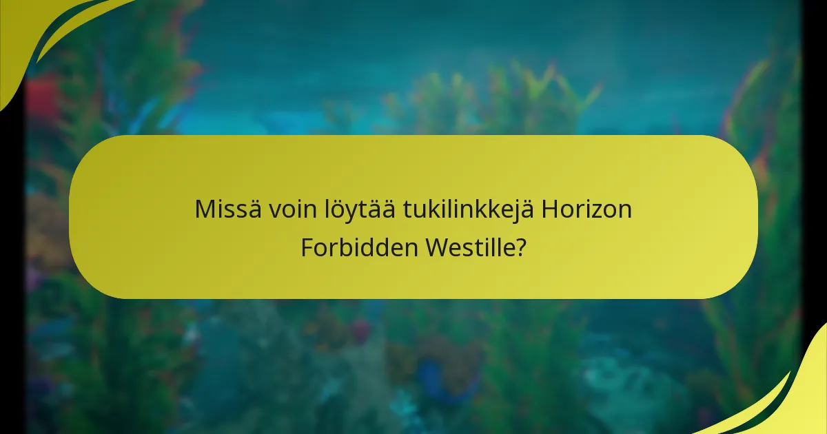 Millaisia ostoja voin tehdä lompakkosaldoilla?